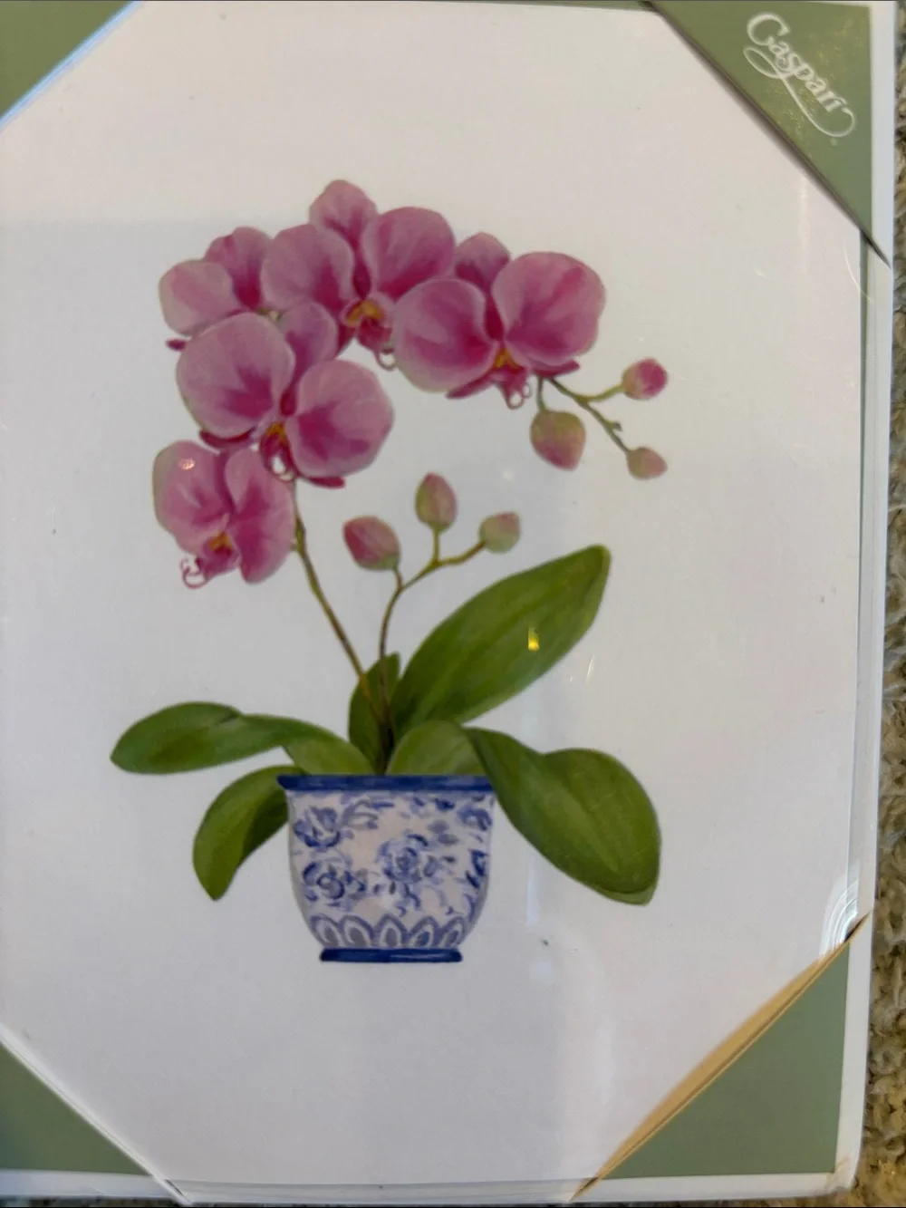 Caspari Pink Tropical Orchid in Blue Porcelain Pot Note Cards Set of 10 NWT
